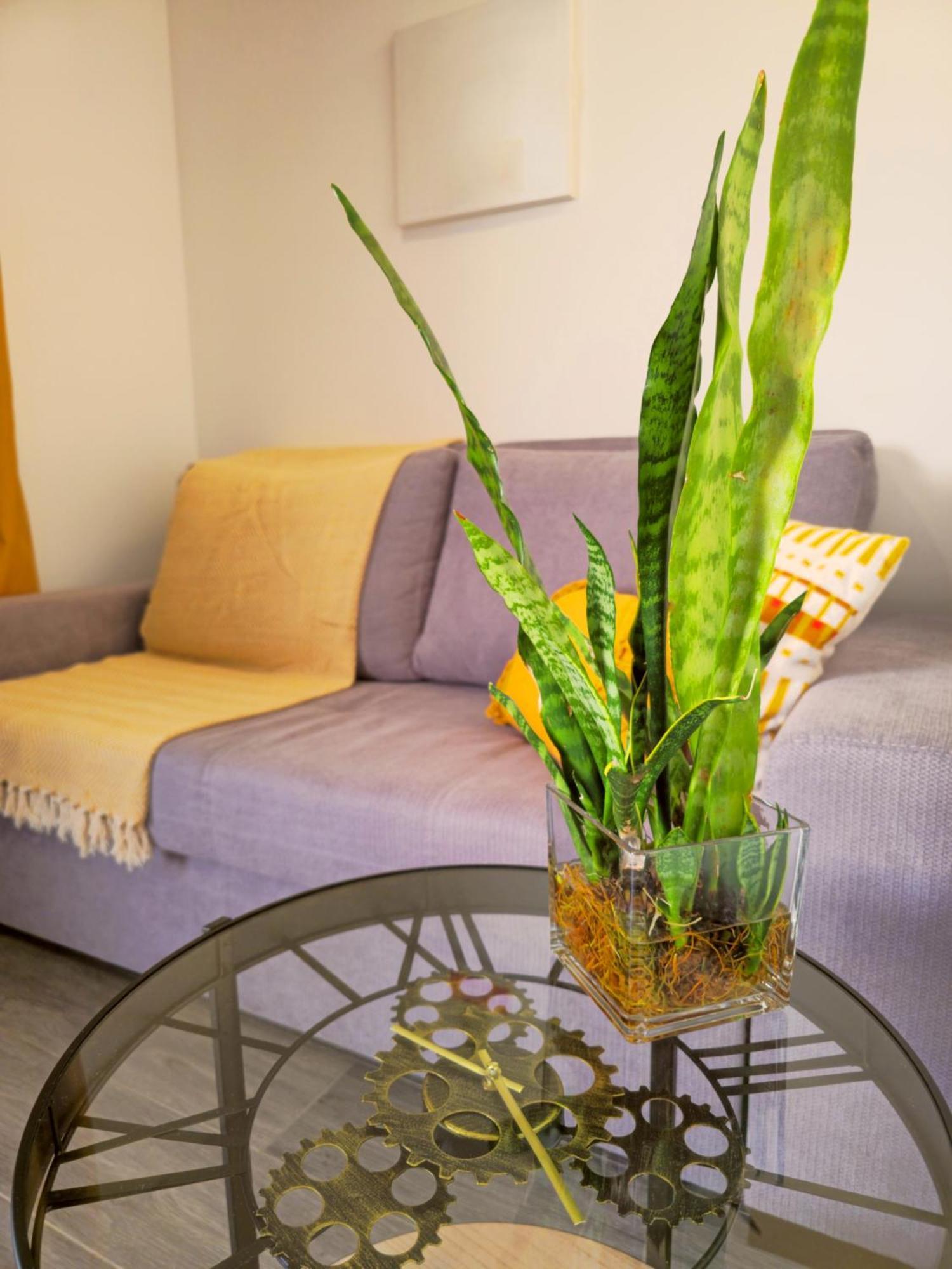 Brand New Private Modern Apartment With Patio And Sea View Calheta  Eksteriør billede